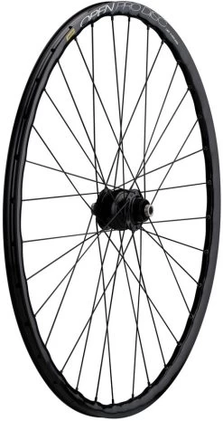 Roue Delux 12 + Open Pro UST Disc + Sapim Race 28"