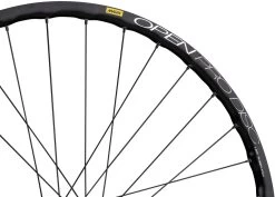 Roue Delux 12 + Open Pro UST Disc + Sapim Race 28" -Vélos Accessoires Boutique 210125