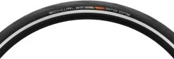 Schwalbe Pneu Souple Pro One Evolution MicroSkin Tubeless Easy 20" -Vélos Accessoires Boutique 283846